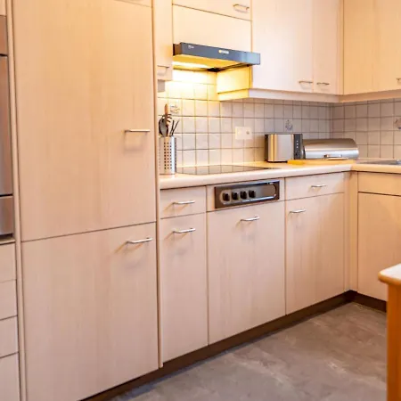 Chesa Auricula 1-1 By Interhome Apartment Sils Maria